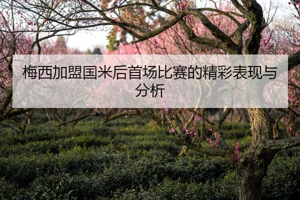 梅西加盟国米后首场比赛的精彩表现与分析