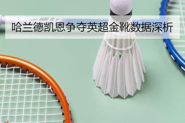 哈兰德凯恩争夺英超金靴数据深析